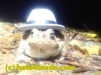 /home//u458753944/public_html/sourcegallery////////////////McKaig Nature Center/2024-09-27/P9271607.JPG
